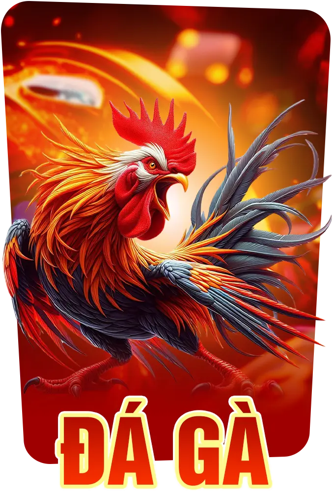 Đá gà 789p