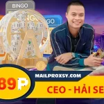 CEO Hải Sen